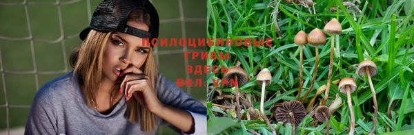 молекула духа Нея